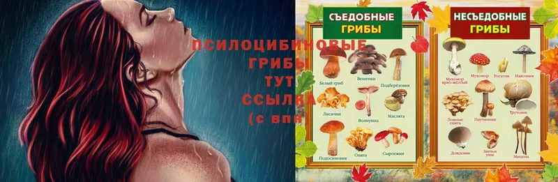 мориарти как зайти  Асбест  Псилоцибиновые грибы Psilocybe  где продают   hydra  